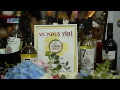 Inovație și tradiție - Vinăria din Vale, un pilon al vinurilor de calitate