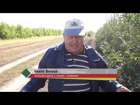 Baștina din 24.11.2019