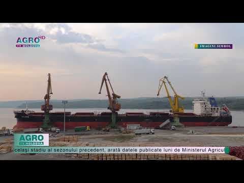 Exporturile de cereale ale Ucrainei au scăzut cu circa o treime