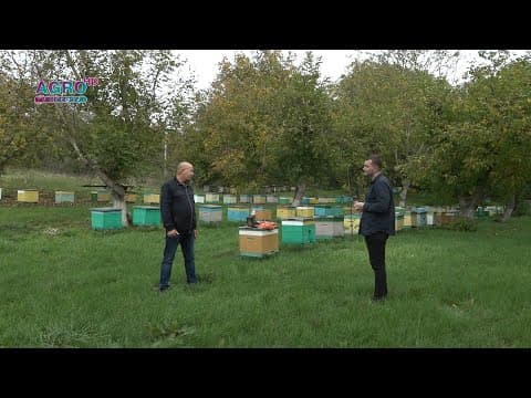 NĂSCUT ÎN MOLDOVA – Familia mixtă de la nordul țării, care obține miere de calitate