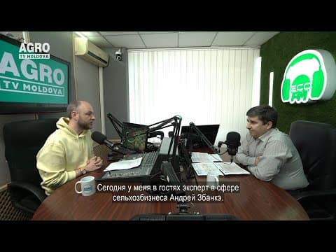 CUM SĂ ALEGI UN DOMENIU AVANTAJOS PENTRU INVESTIȚII