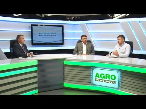 Recolta de cereale, prețul grâului și prețul pâinii