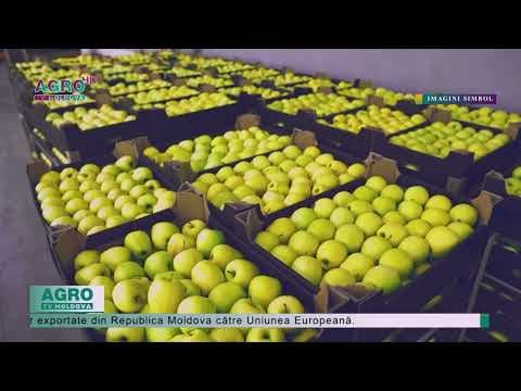 Cu 82 la sută au crescut exporturile de prune, cireșe, caise, vișine și piersici, în 2023