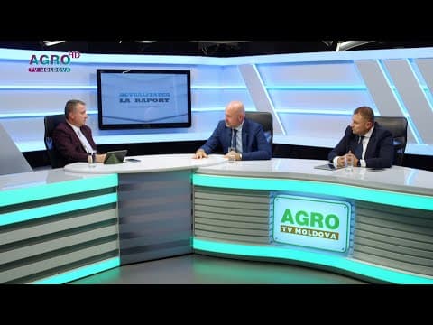 Industria sfeclei de zahăr și de producere a zahărului, afectată de seceta de anul acesta