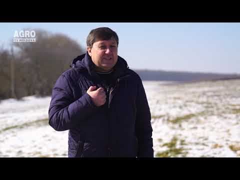 Baștina din 07.03.2021