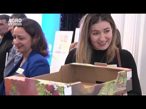 Baștina din 15.12.2019