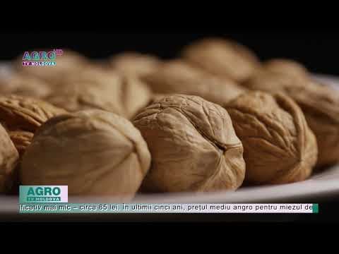 Prețul angro la miezul de nucă a atins nivelul maxim din ultimii 5 ani