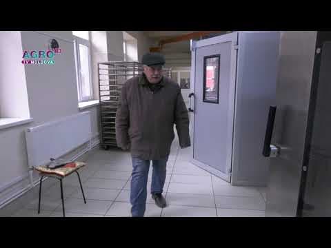 Fermier din Căușeni: „Nu primești subvenții, dacă nu dai mită…”