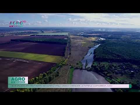 Serviciului Hidrometeorologic de Stat a extins avertizarea hidrologică în raport cu scurgerea redusă a apei în râuri