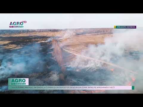 Incendiu de proporții în Căușeni. 19 hectare de vegetație au fost mistuite de flăcări