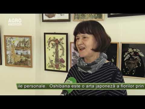 AGRO TV News - 20. 12. 2019