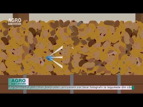 VIDEO/Solentum startup, tehnologie de stocare a cartofilor și prognozare a randamentului