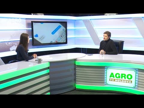 Actualitatea LA RAPORT: De ce creștem copii agresivi?