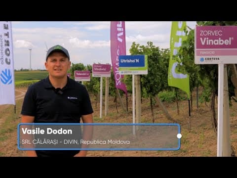 Vasile DODON, SRL Călărași-Divin, R. Moldova