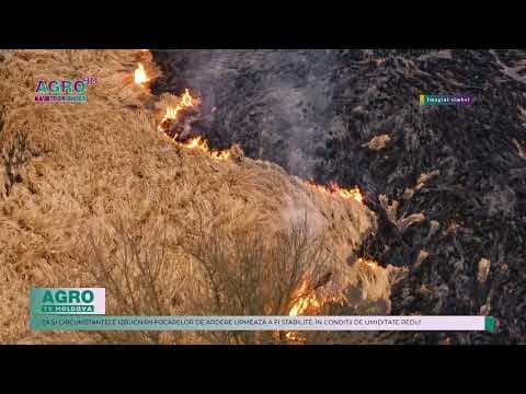 Două incendii de vegetație au izbucnit în raionul Căușeni