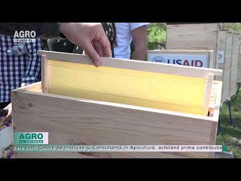 Suport pentru dezvoltarea afacerilor apicole