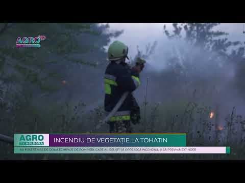 Incendiu de vegetație pe traseul Tohatin-Chișinău