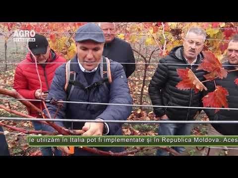 AGRO TV News - Retrospectiva Săptămânii 30 noiembrie 2019