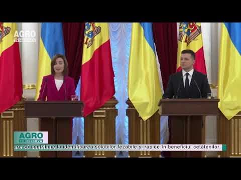 Țări cu probleme și strategii comune de soluționat