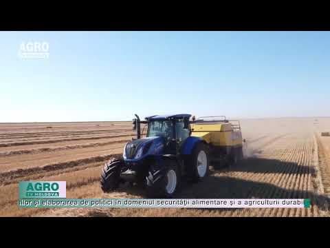 Producţia agricolă din România la cel mai înalt nivel
