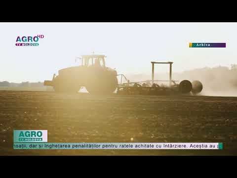 Fermierii cer limitarea importului de cereale și oleaginoase