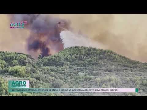 Grecia - Două localități evacuate din cauza incendiilor