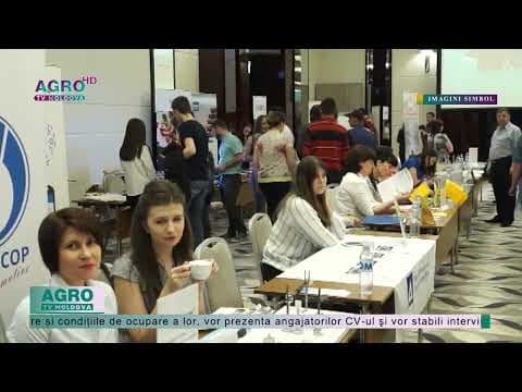 Sunteți în căutare de lucru? Veniți la Târgul Locurilor de Muncă