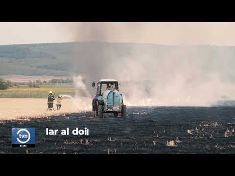 Mai multe hectare de miriște au fost mistuite de flăcări / VIDEO
