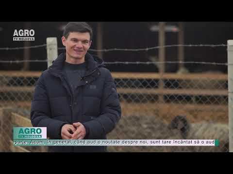 La 22 de ani, a revenit în sat și a construit o fermă de oi