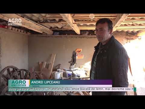 Pentru unii – vechituri, pentru alții – o afacere de suflet