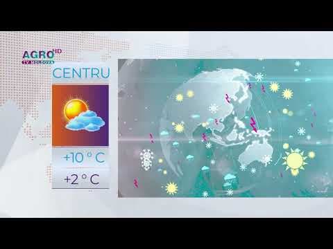Temperaturi primăvăratice și ploi slabe