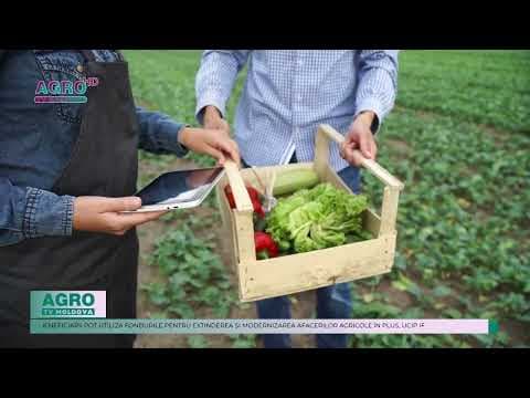 Sprijin de un milion de lei pentru afacerile tinerilor și femeilor din mediul rural