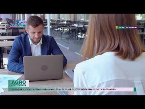 Peste 8000 de persoane au fost plasate în câmpul muncii