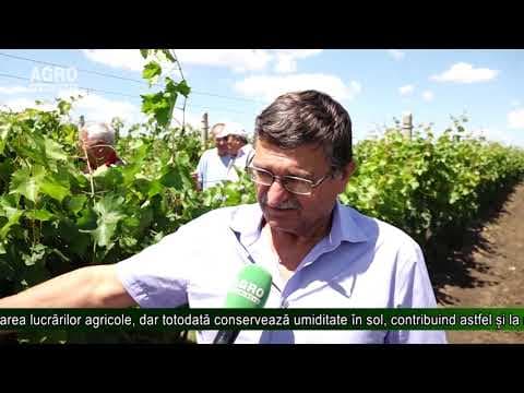 AGRO TV News - 25. 09. 2019