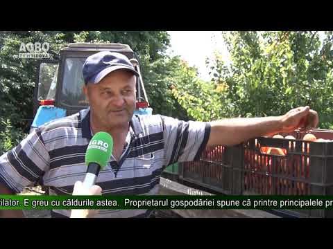 Caise dulci, dar fără cumpărători