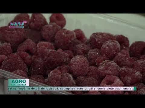 Calitatea înaltă a pomușoarelor, ne va deschide noi piețe