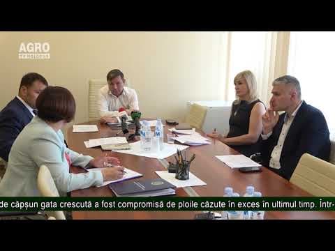 Ploile continuă să facă ravagii în toată țara