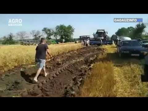 Reglări de conturi între fermieri, în stilul anilor ’90 / VIDEO