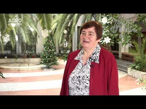 Zona Verde - Cei mai înalți palmieri din Chișinău