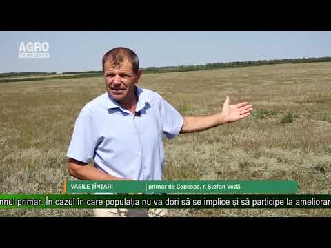 AGRO TV News - 18. 09. 2019