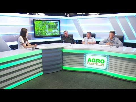 Actualitatea LA RAPORT - După atâtea ploi, care sunt prognozele în agricultură?