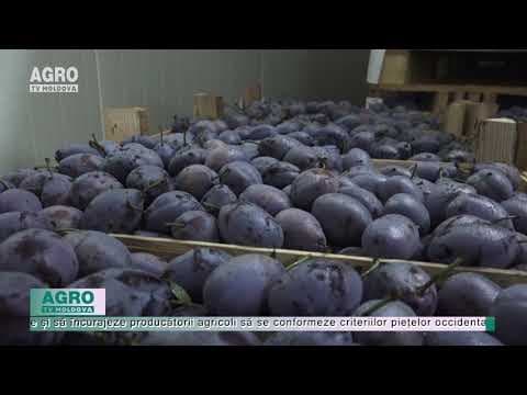 STUDIU: Prunele și cerealele, cele mai cotate produse moldovenești în UE