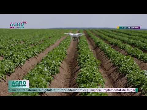 Granturi pentru digitalizarea sectorului agricol