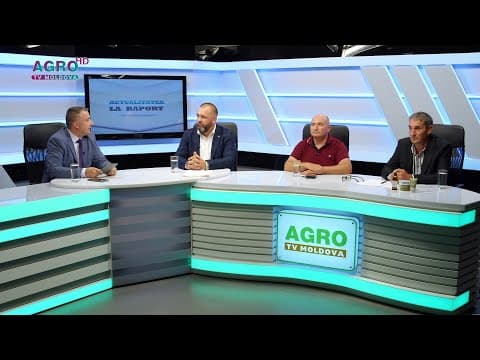 Cultura cânepii industriale - inițiative și controverse