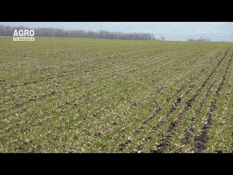 Baștina din 14.03.2021