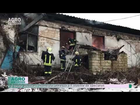 Incendiu la o fabrică de prelucrare a lemnului