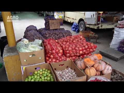 AGRO TV News - 30. 08. 2019