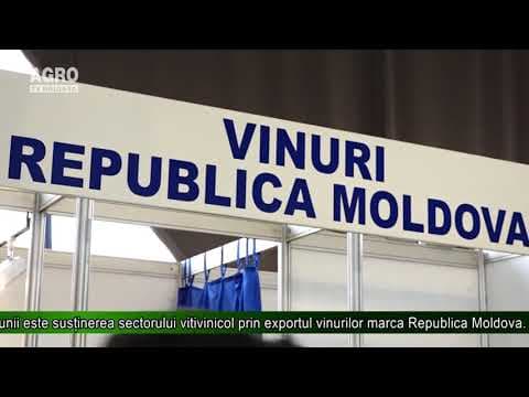 Vinul moldovenesc pe piețele din Belgia și SUA