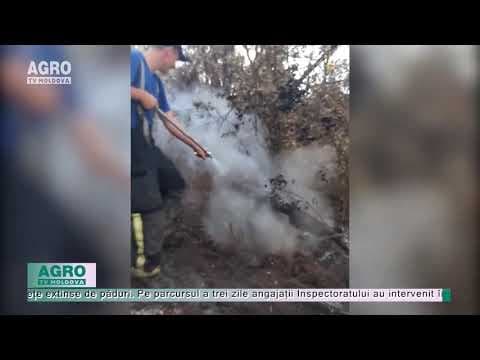 Salvatorii moldoveni continuă lupta cu incendiile din Grecia / VIDEO