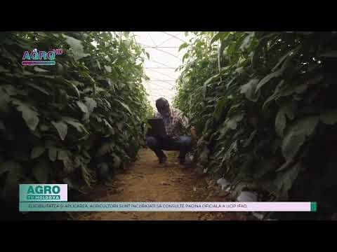 UCIP IFAD oferă finanțare de până la 150.000 de euro pentru echipamente agricole